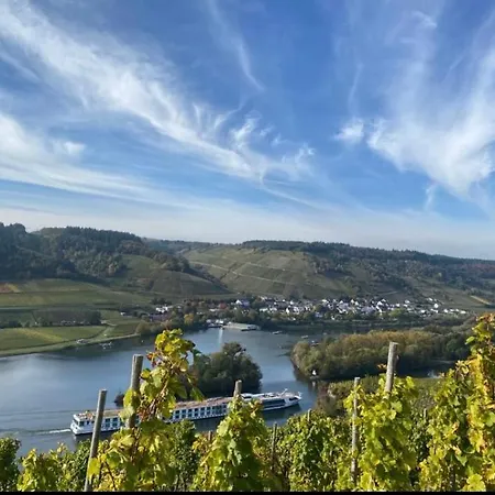 Weingut Und Gaestezimmer Joerg Thul Guest house Detzem