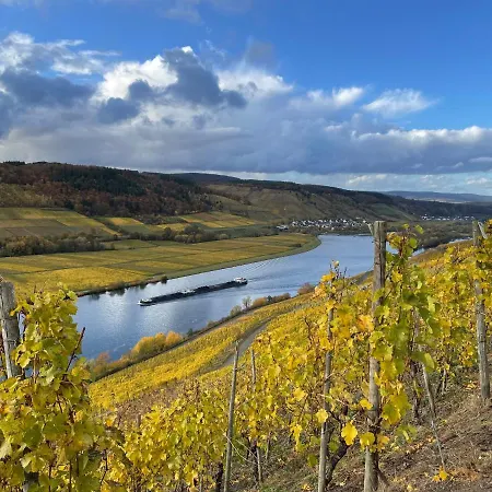 Weingut Und Gaestezimmer Joerg Thul Guest house